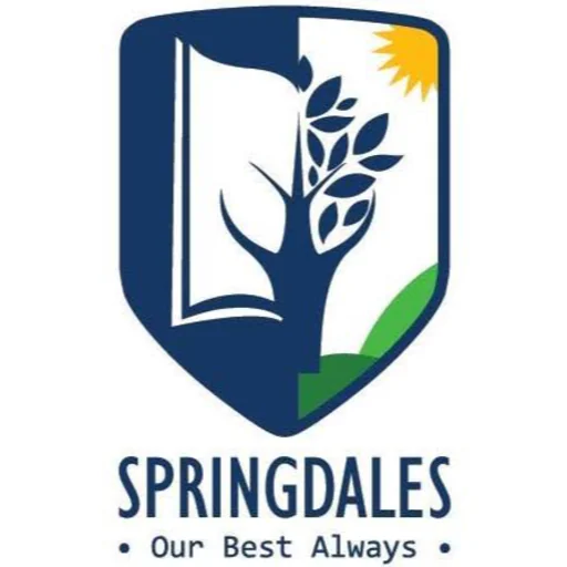 Springdales School Dhaula Kuan